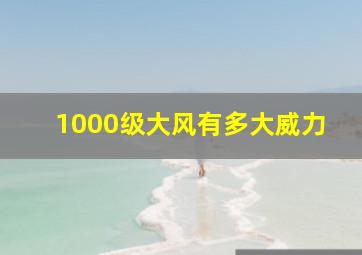 1000级大风有多大威力