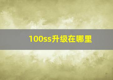 100ss升级在哪里