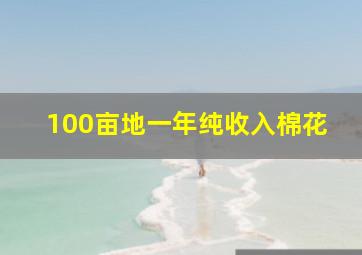 100亩地一年纯收入棉花