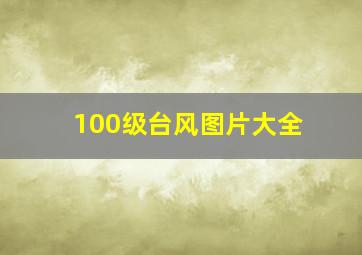 100级台风图片大全