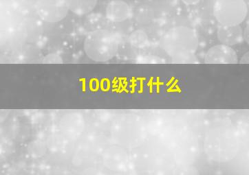 100级打什么