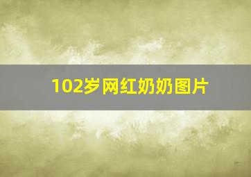 102岁网红奶奶图片