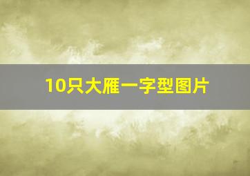 10只大雁一字型图片