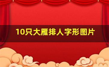 10只大雁排人字形图片