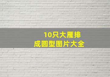 10只大雁排成圆型图片大全