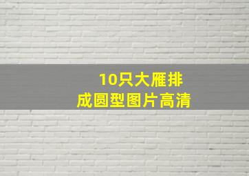 10只大雁排成圆型图片高清