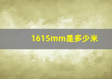 1615mm是多少米