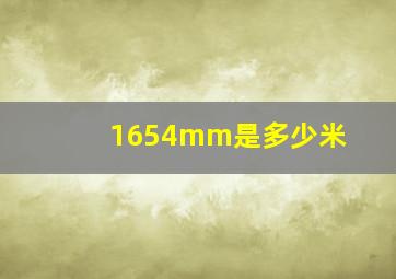 1654mm是多少米