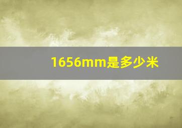 1656mm是多少米