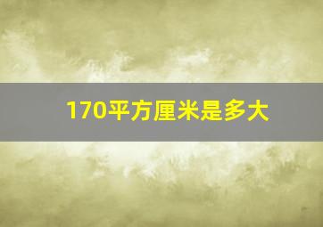 170平方厘米是多大