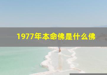 1977年本命佛是什么佛