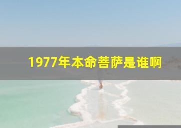 1977年本命菩萨是谁啊