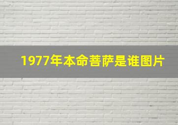 1977年本命菩萨是谁图片