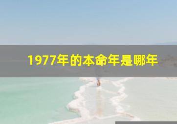 1977年的本命年是哪年