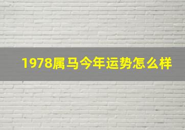 1978属马今年运势怎么样