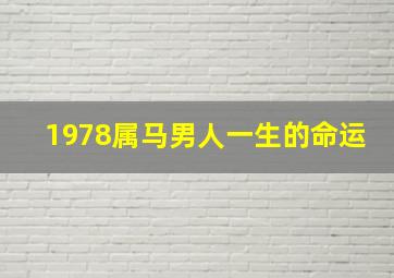 1978属马男人一生的命运