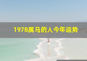 1978属马的人今年运势