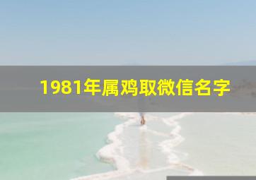 1981年属鸡取微信名字