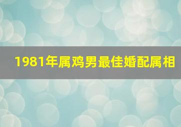 1981年属鸡男最佳婚配属相