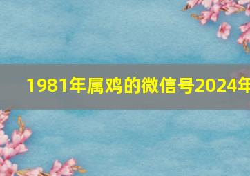 1981年属鸡的微信号2024年