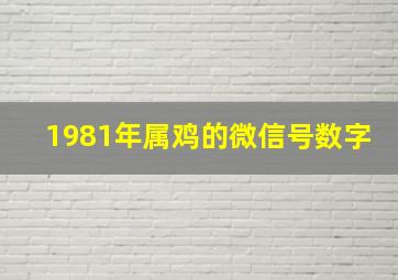 1981年属鸡的微信号数字