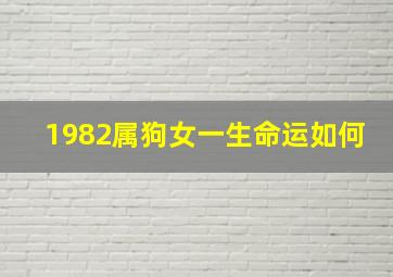 1982属狗女一生命运如何