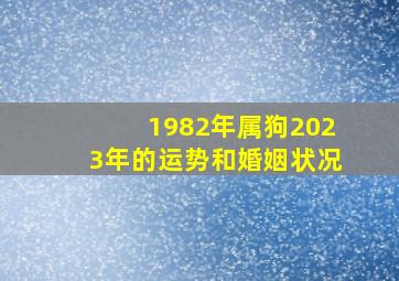 1982年属狗2023年的运势和婚姻状况