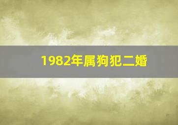 1982年属狗犯二婚