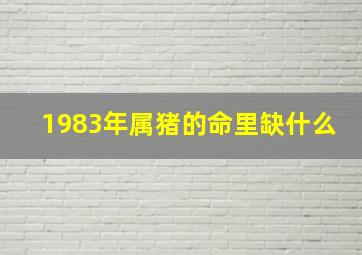 1983年属猪的命里缺什么