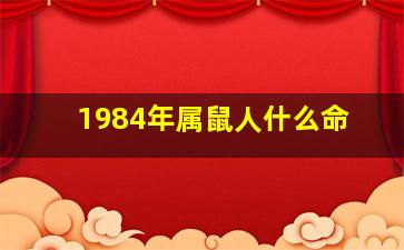 1984年属鼠人什么命