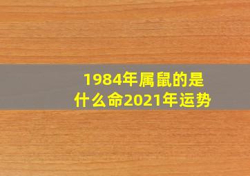 1984年属鼠的是什么命2021年运势