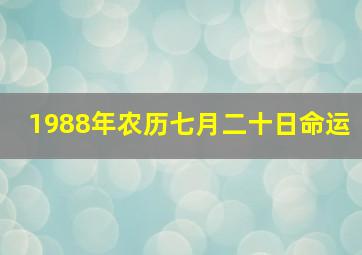 1988年农历七月二十日命运