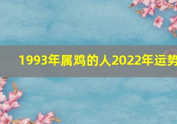 1993年属鸡的人2022年运势