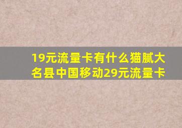 19元流量卡有什么猫腻大名县中国移动29元流量卡