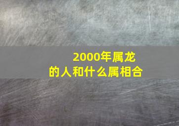 2000年属龙的人和什么属相合