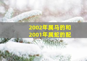 2002年属马的和2001年属蛇的配