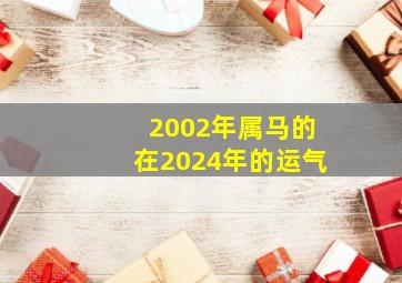 2002年属马的在2024年的运气