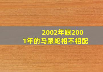 2002年跟2001年的马跟蛇相不相配