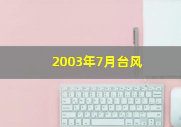 2003年7月台风