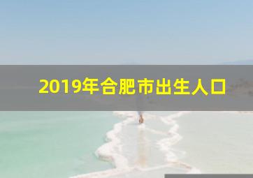 2019年合肥市出生人口