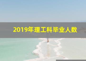 2019年理工科毕业人数