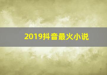 2019抖音最火小说