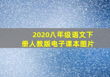 2020八年级语文下册人教版电子课本图片