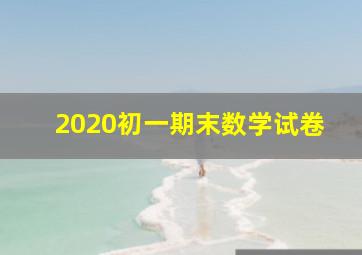 2020初一期末数学试卷