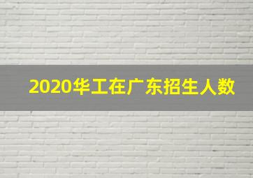 2020华工在广东招生人数