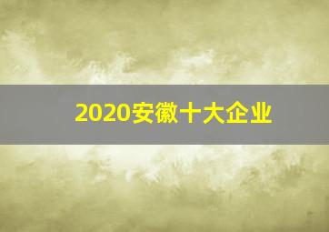 2020安徽十大企业