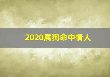 2020属狗命中情人