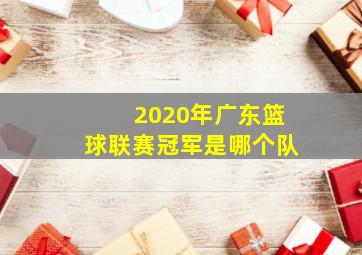 2020年广东篮球联赛冠军是哪个队