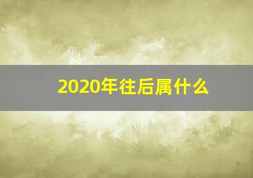 2020年往后属什么