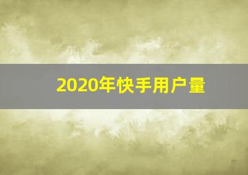 2020年快手用户量